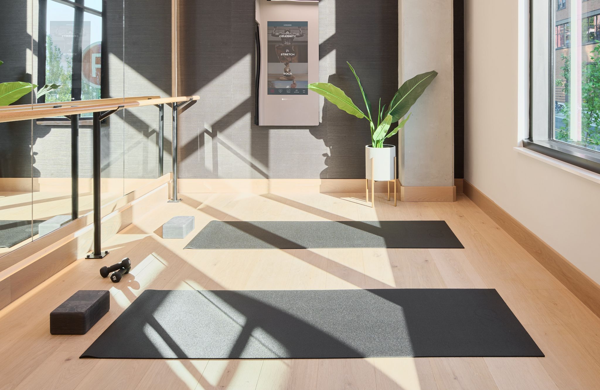 Sunlit yoga studio with black ceiling beams, wall mirror, yoga mats, weights, and a potted plant by the window.