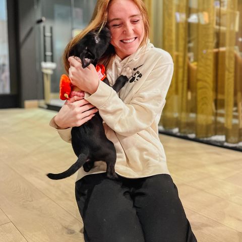 same time next year 💌

we’re dog friendly with a pet spa and dog park, so bring your furry friend with you 🐾