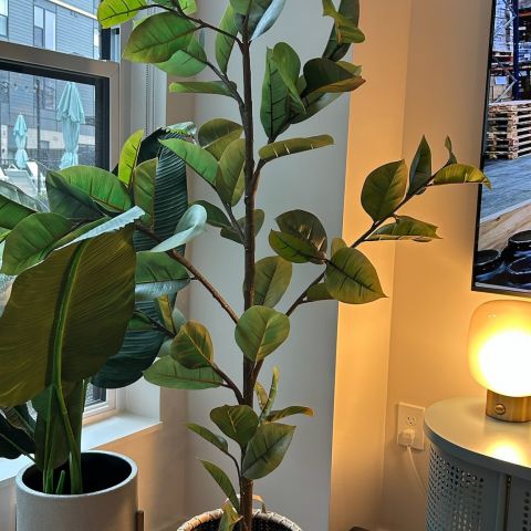 yea…we’ve thought of everything 🤭