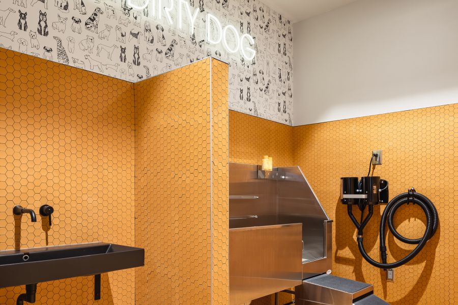 Moderna estación de lavado para perros con azulejos hexagonales naranjas, lavabo negro, cubeta metálica y letrero de neón con la inscripción «YOU DIRTY DOG» (perro sucio).
